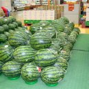 홈세일마트 이미지