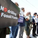 화석 2002 이미지