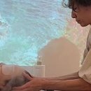 살롱의 정석