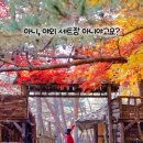 광천목장 이미지