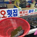 여수금오횟집