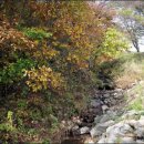 정경목장 이미지