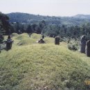 이유청 묘 이미지