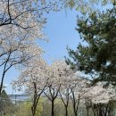 황산공원 배구장 이미지