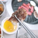 열매정육