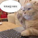 광양여자고등학교 | 광양먹거리 광양읍맛집 인생 쭈꾸미&amp;보쌈 사이드메뉴 추천