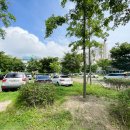 연일근린공원 이미지