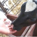 신성목장 이미지