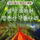 2026 울산뮤직페스티벌 총정리! 태화강국가정원에서 펼쳐지는 초여름 음악축제