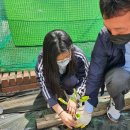 흥성농장 이미지