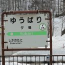 지선장식