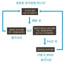 황금통발