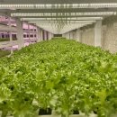 자람유치원 이미지