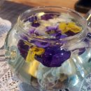 보금신토불이 이미지