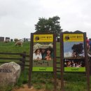 동해 바다 게스트하우스 이미지