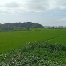 대송면사무소 이미지