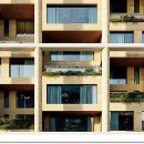 압구정-236 이미지