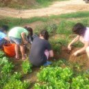 평강농장 이미지