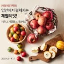 과일오아시스 - 북구 명촌로 54 | 과일오아시스