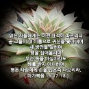 토요묵상 - 믿는자들에게 따르는 표적 이미지