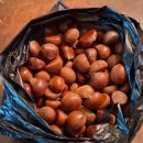 열매공인중개사사무소 이미지