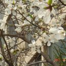 조약돌민박 이미지