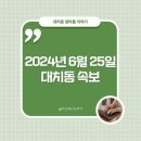 2024년 6월 25일 대치동 속보