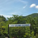 평창캠핑장 반딧불캠핑장 다녀온 후기:)