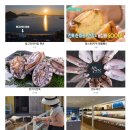 강진호수농장 이미지