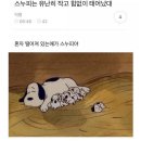 꼬꼬아찌 - 고양시 일산동구 고봉로 20-21 | 꼬꼬아찌