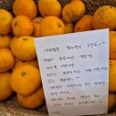 애월볕 이미지
