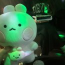 불타는돈갈매기 이미지