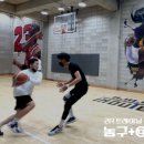 인아우트 티스토리