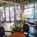 슬립리스인시애틀울산