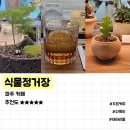 [파주] 메론맛 커피가 있는 파주롯데아울렛 1분거리 식물카페 &lt;식물정거장&gt; 추천