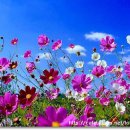 하의초등학교 이미지