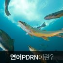샤르네화장품