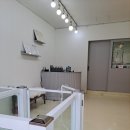 빵실하개 이미지