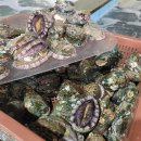 [12월9일] 먹갈치,참조기,서대,숭어,감태,홍가리비,새꼬막,통영굴,돌굴,생톳,각굴,전복,돌게,새우젓,멸치액젓 이미지