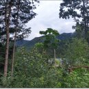 서종 힐링캠핑장 이미지