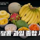 셰프떡볶이