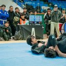킹덤주짓수대명