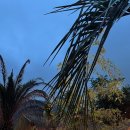 바바라 발리 이미지