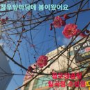 참우양곱창 수성점 이미지