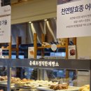 윤쉐프정직한제빵소(옥정점) | 양주 옥정동 카페 추천 실패 없는 빵 선택 윤쉐프 정직한제빵소 양주옥정점 대형카페