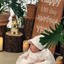 꽃길행복한그날 이미지