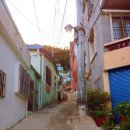 초장동11 이미지