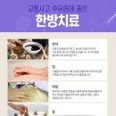 괴정동의한의원 네이버블로그