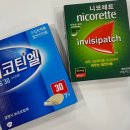 시흥시보건소 이미지