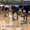 원하리
